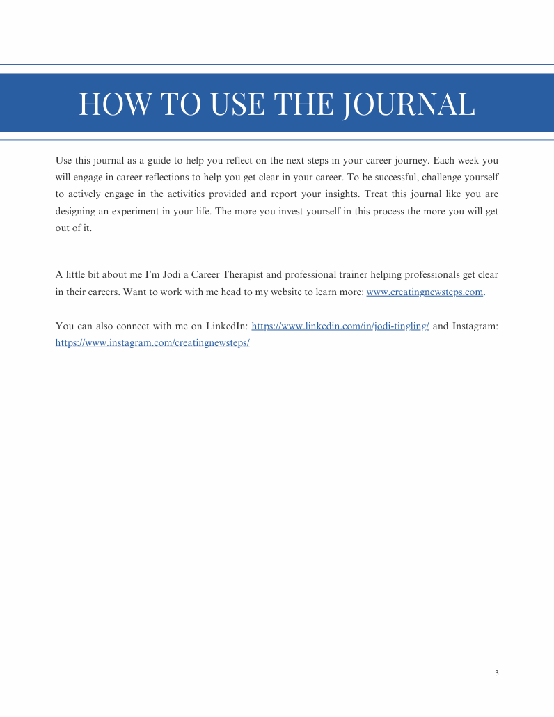 Career Reflection Journal, selected interior sample 3